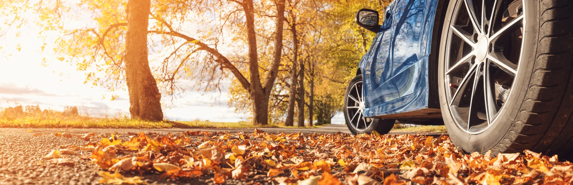 Close-up of a blue car's front tire and alloy wheel on a road covered in fallen autumn leaves, with golden trees in the background.